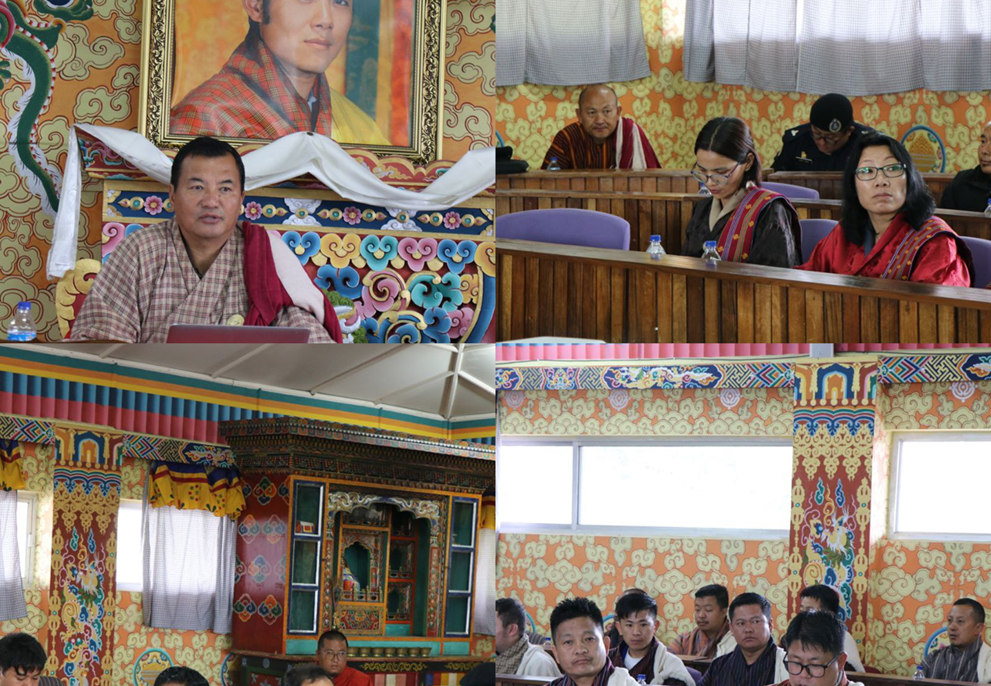 participant glimpse